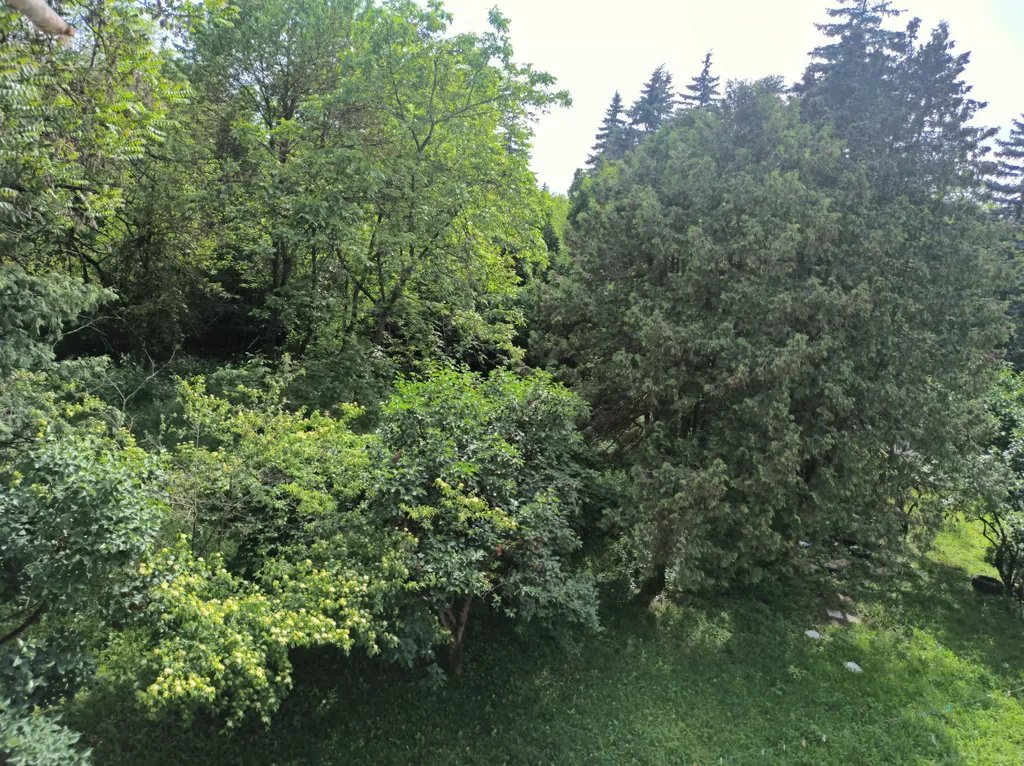 Жилье в центре парка