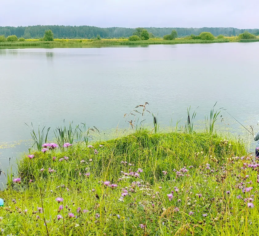 Коттедж с банным чаном