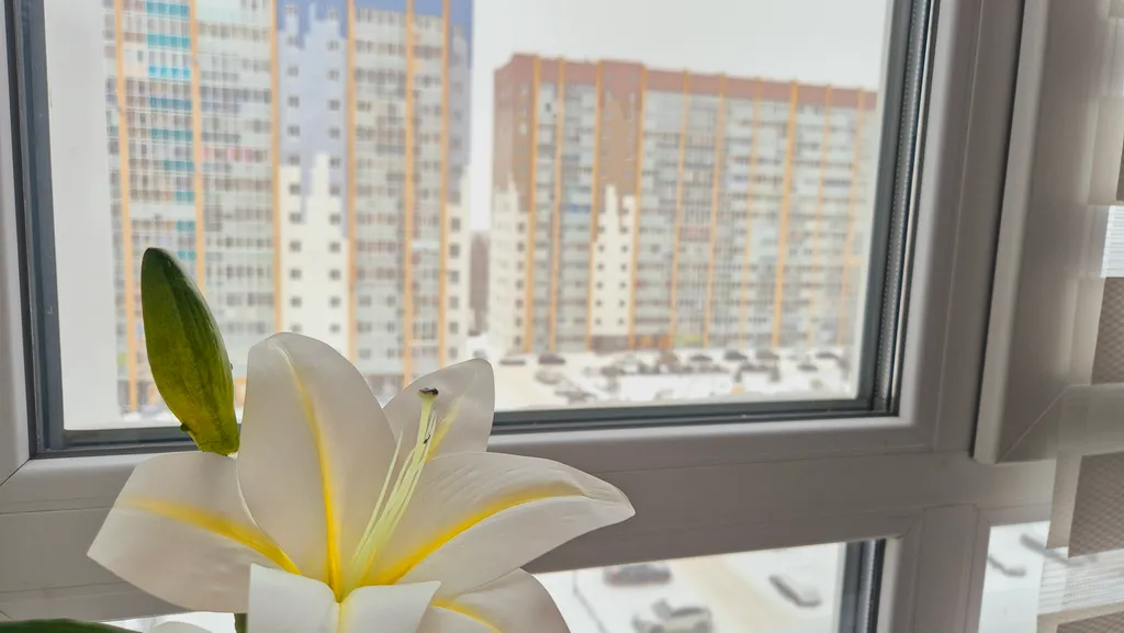 Новая студия Эльдорадо до Макси 5 минут ходьбы