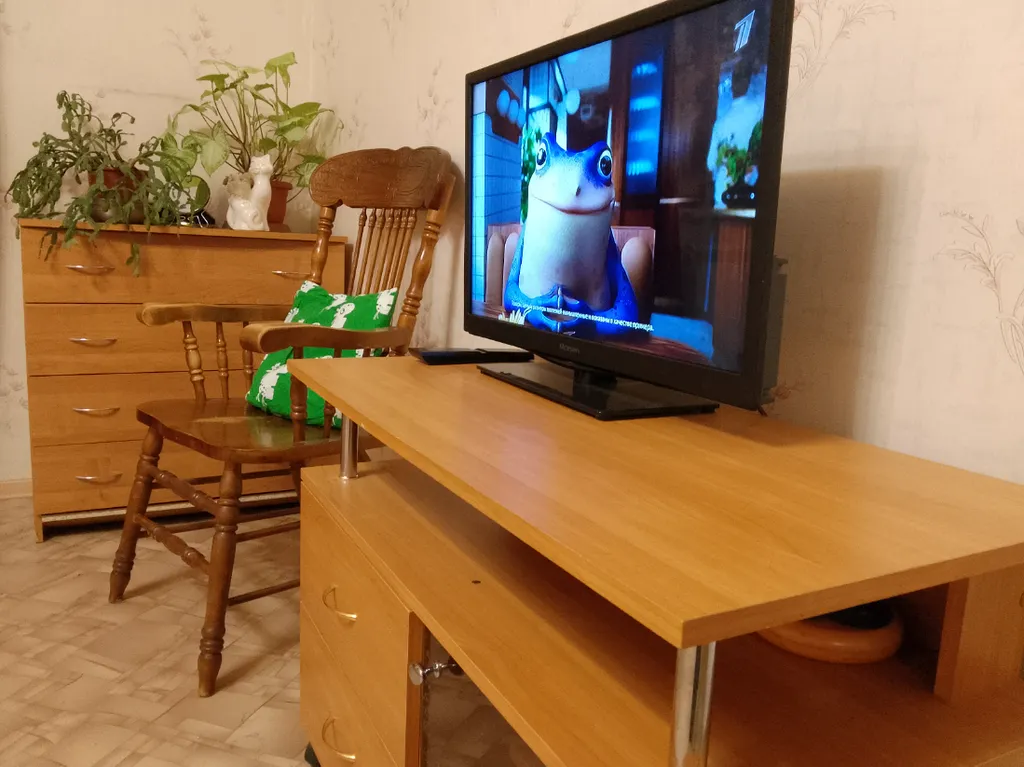 Удобные апартаменты в центре Луги