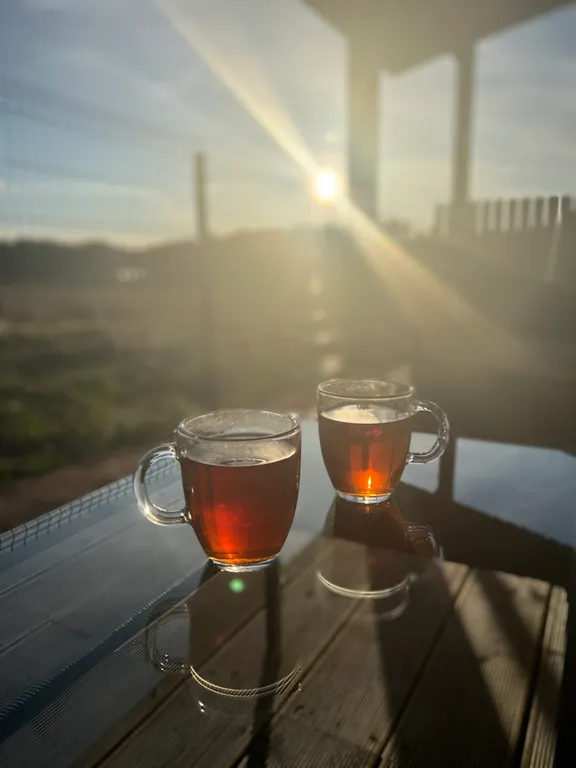 Коттедж Романтичные закаты с видом на пшеничное поле — Запорожское