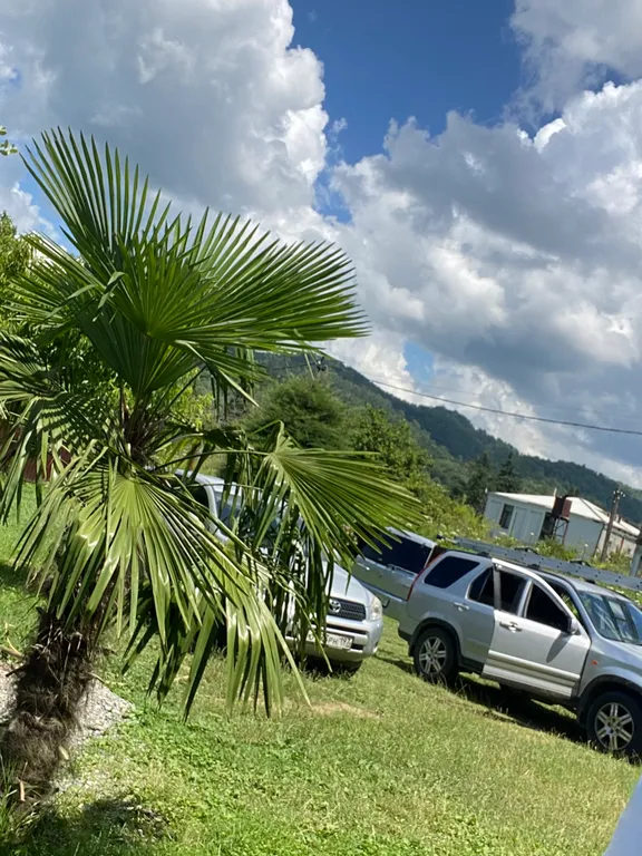 Коттедж Комфортные летние домики на море — Сухум