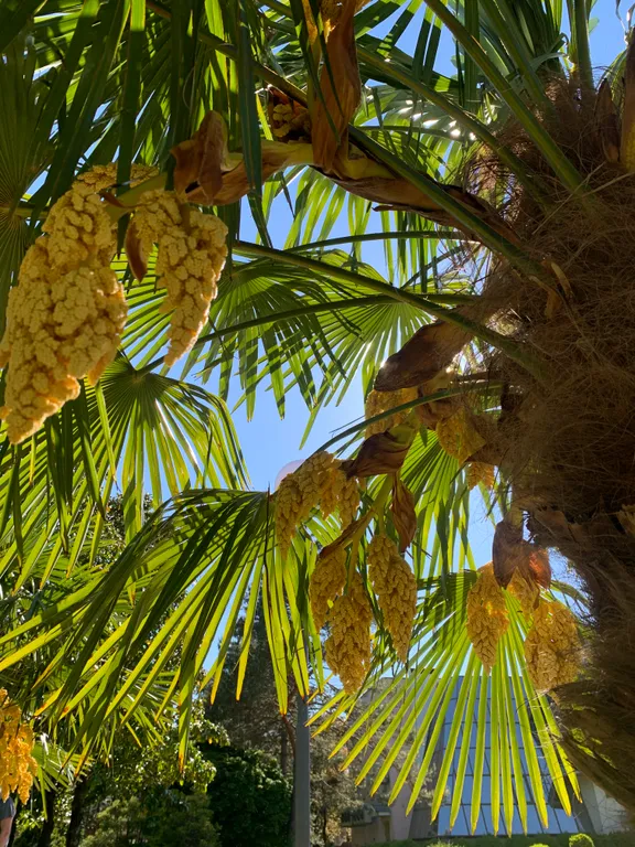 Апартаменты в ботаническом саду