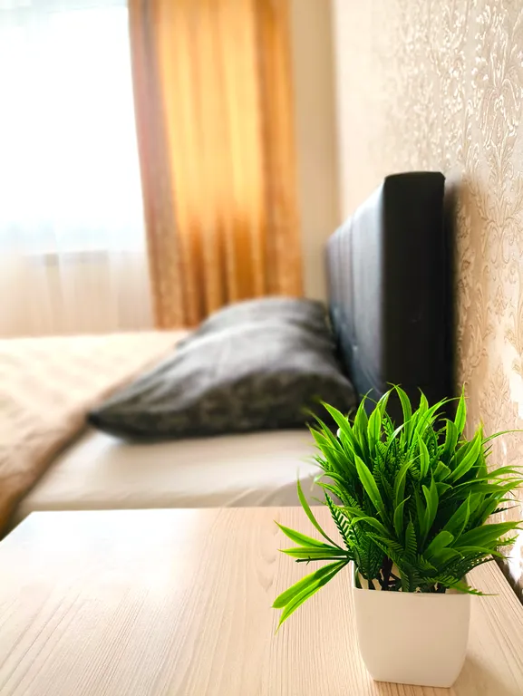 Двухкомнатная квартира с большой кухней