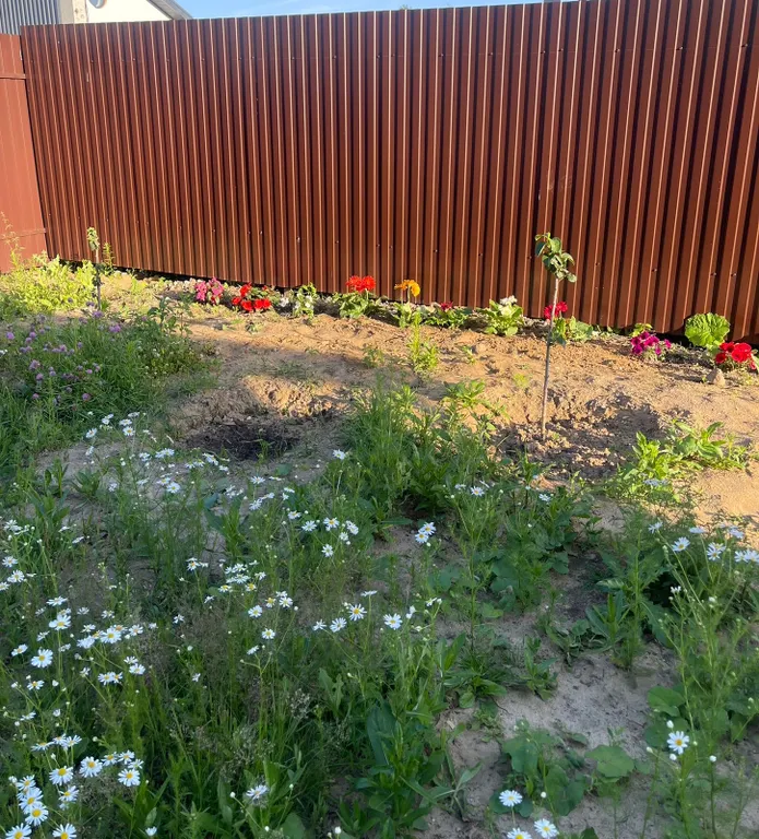 Уютный дом у леса и озера