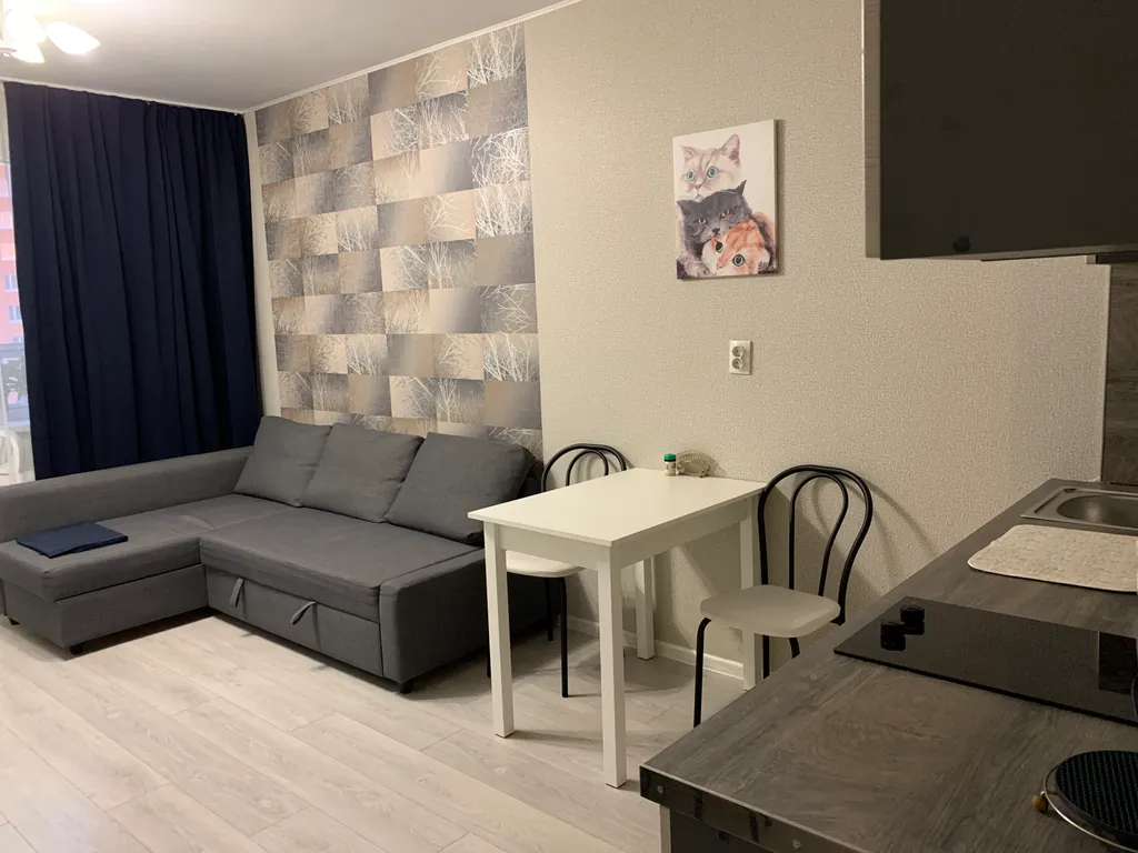 Студия у метро Девяткино