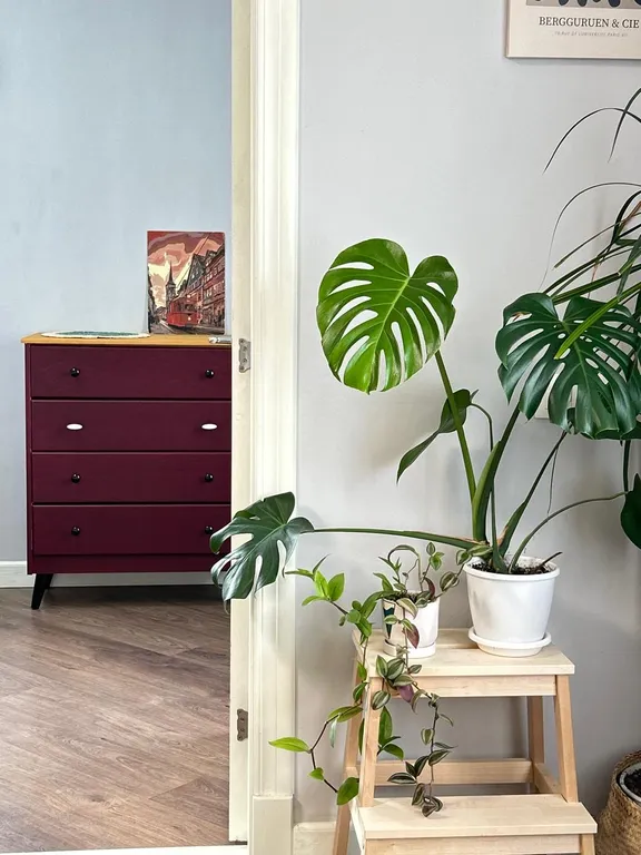 Апартаменты с отдельной спальней