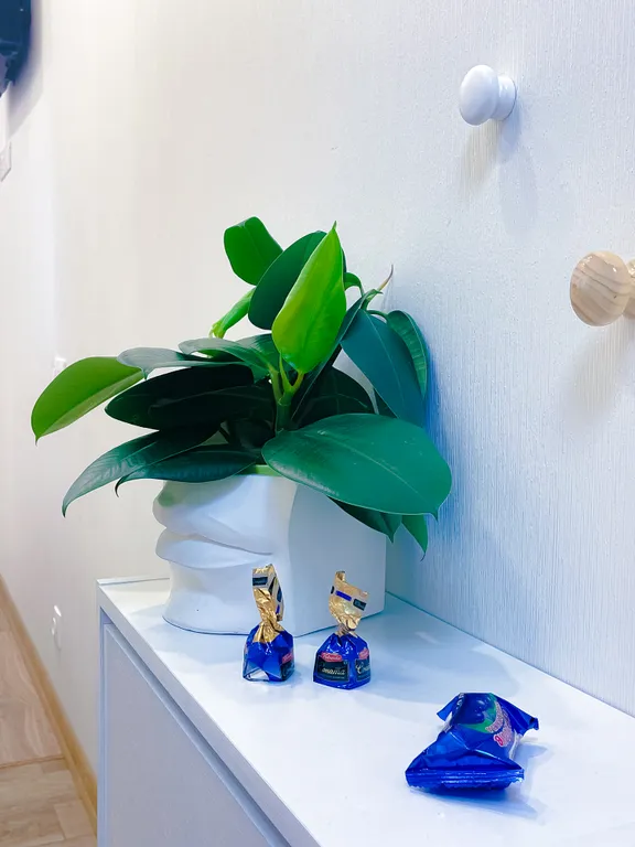 Студия для одного рядом со Сколково