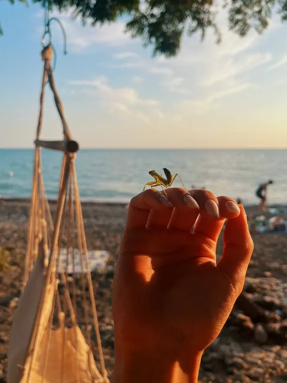 Квартира Квартира Семейная студия недалеко от моря — Сочи