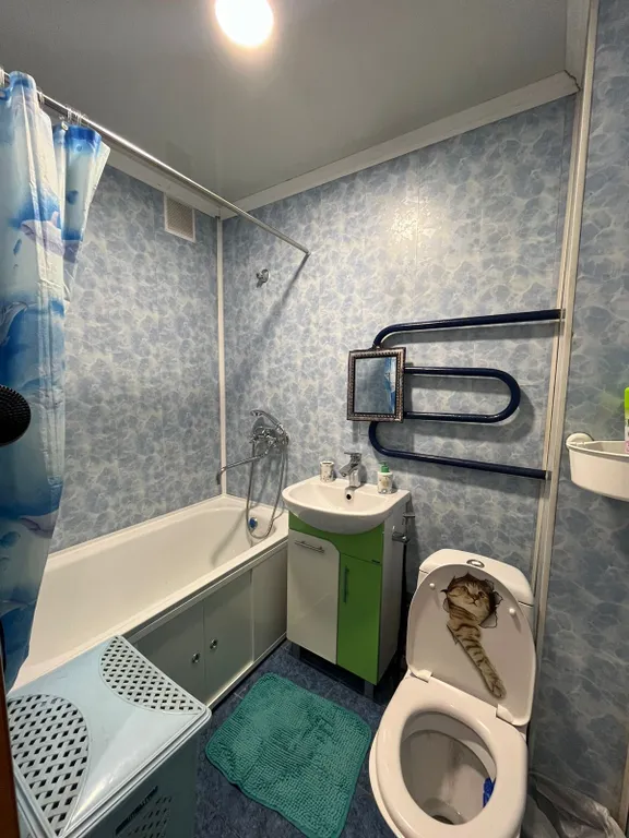 Квартира в центре