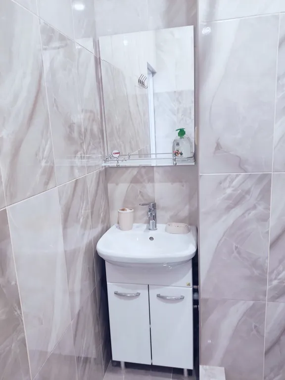 Квартира 1-комнатная Квартира — Сириус