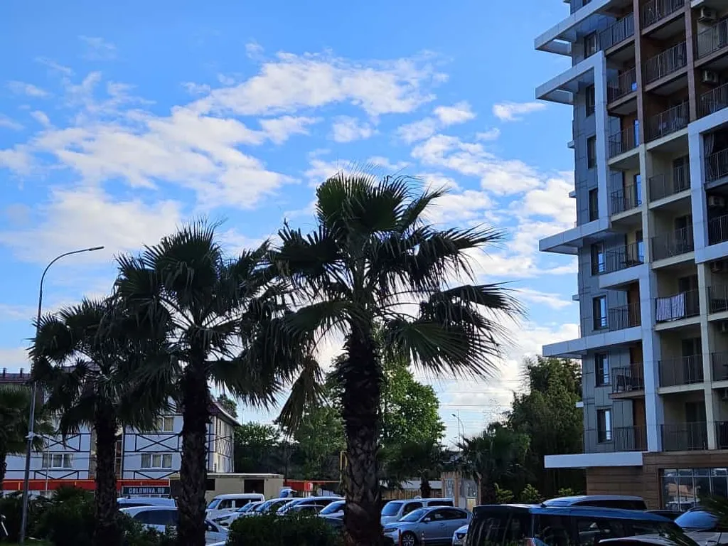 Апартаменты в ЖК Каравелла Португалии