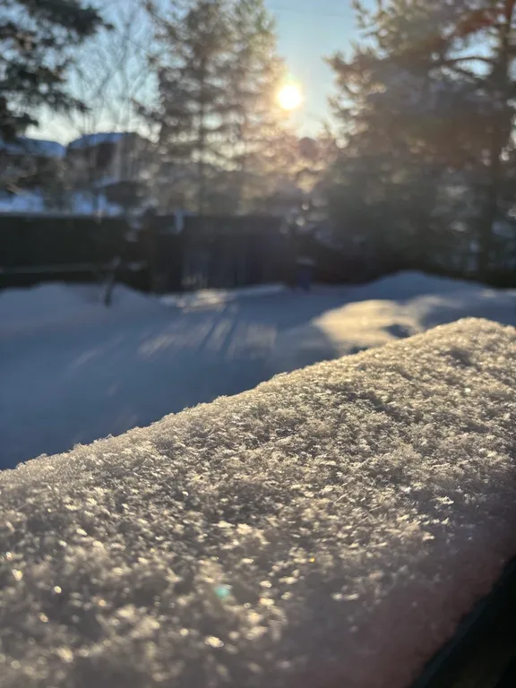 Уютный дом, баня на дровах, банный чан в сосновом бору Петрозаводска