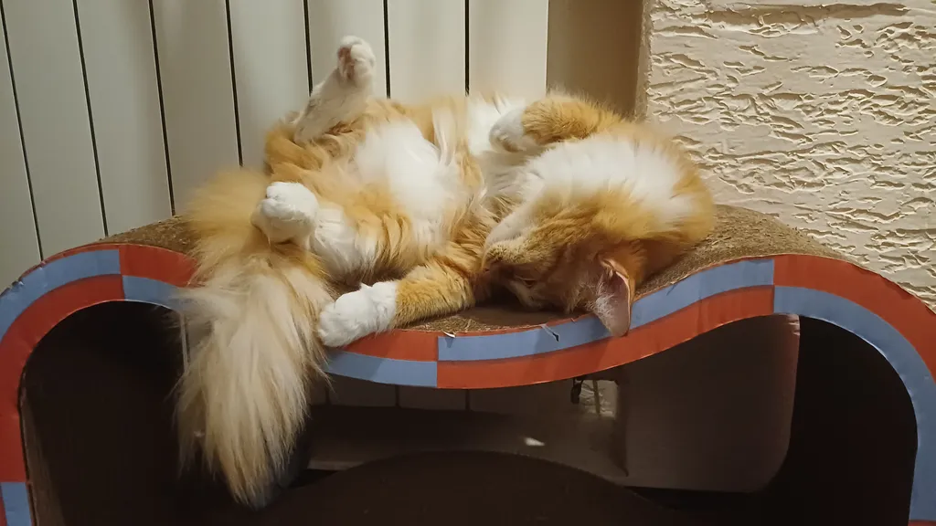 Квартира Квартира Уголок мечтателя (метро Проспект Славы) — Санкт-Петербург