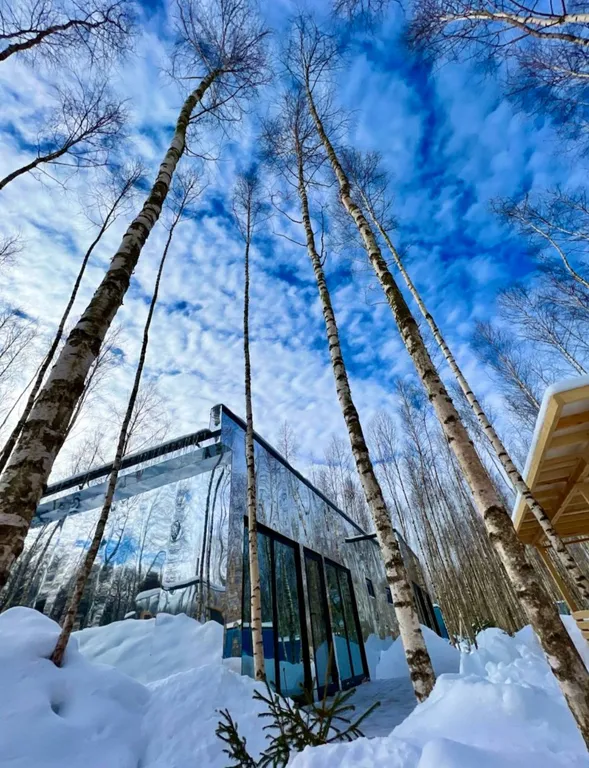 Коттедж Зеркальный дом с 2 спальнями, беседкой, собственной баней и купелью — Семеновское