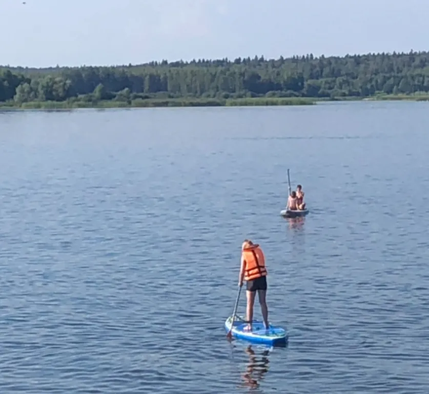 Экологически чистый дом