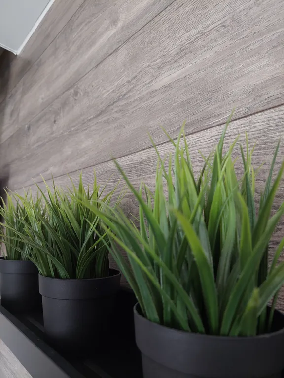 Уютная квартира в центре Петергофа