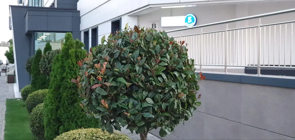 Новая дизайн студия в морской симфонии