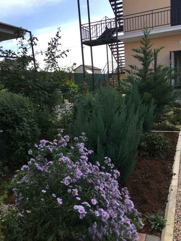 Двухкомнатный номер с кухней и санузлом