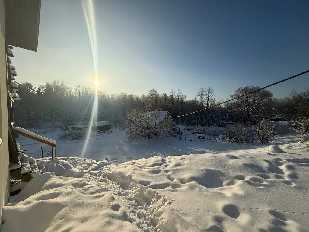 Выход из суеты - не дача Бобёр и Соловьи