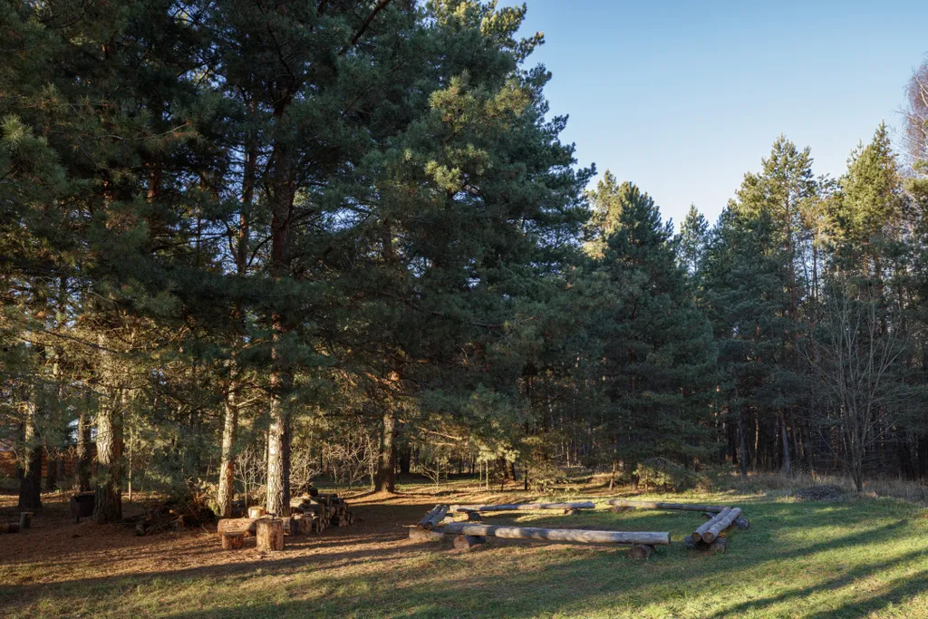 Шале Белые пески