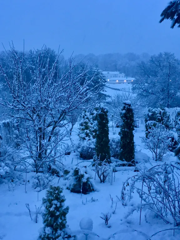 Уютный домик с видом на музей