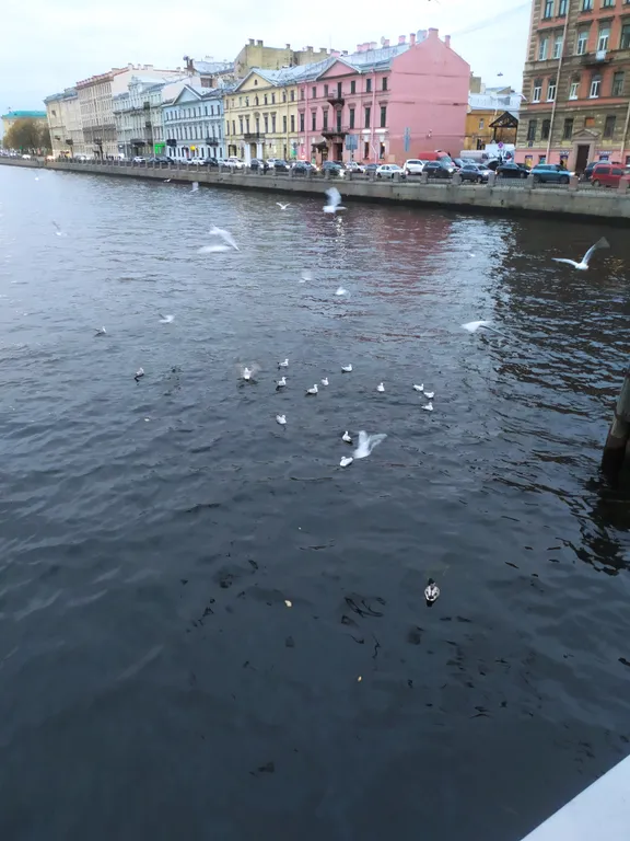 Квартира Квартира Маленькая студия — Санкт-Петербург