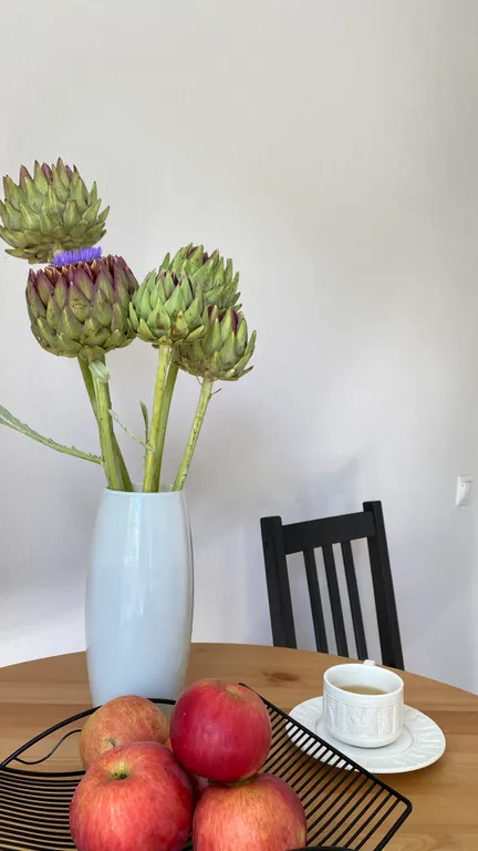 Квартира на Набережной Терека, у Мариинского театра