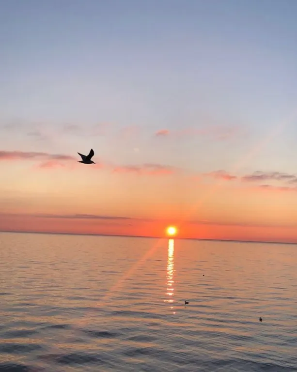 Коттедж у моря