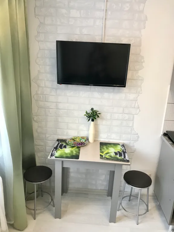 Уютная студия Бамбук на площади Маркса