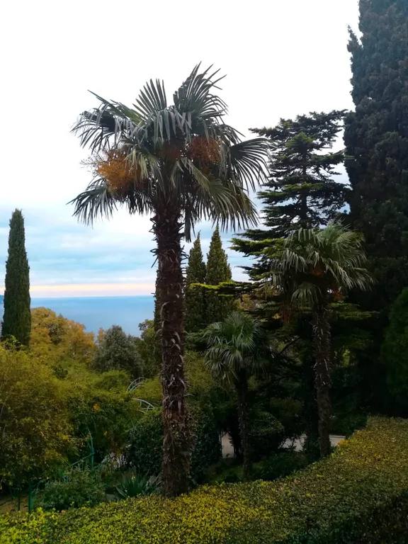 Квартира с видом на море