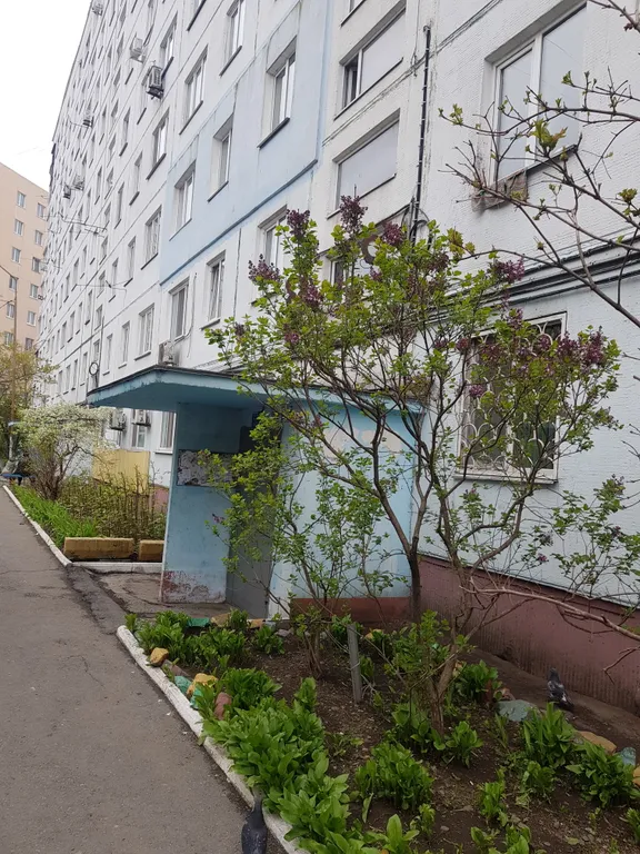 Квартира Просторная светлая квартира с хорошим видом из окна — Владивосток