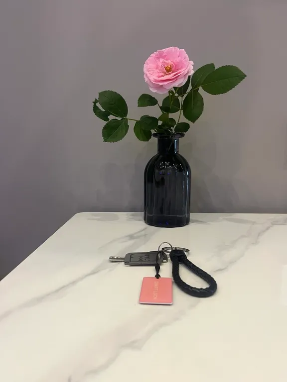 Квартира Desert Rose Apartment — просторные апартаменты в центре — Владивосток