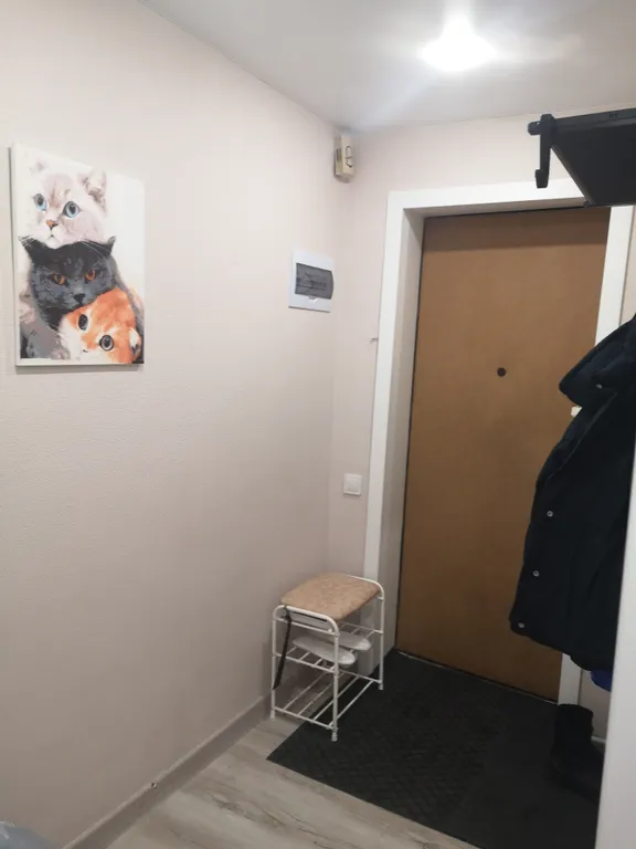 Квартира Уютная, комфортная 1-комнатная квартира, с заботой о гостях — Пересвет