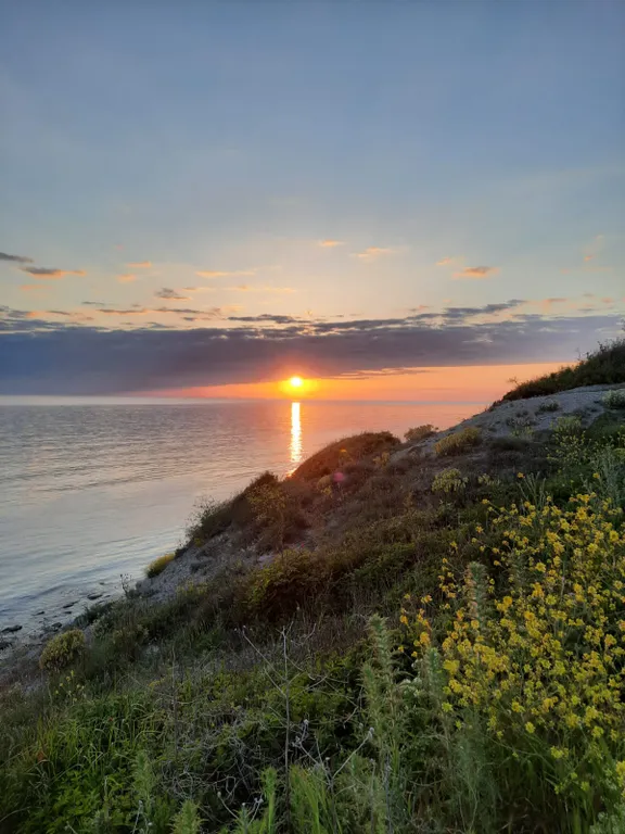 Уютная студия на побережье ЖК Анаполис