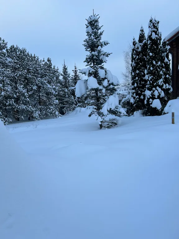 Загородный коттедж рядом с горнолыжными склонами