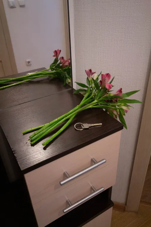 1-комнатная квартира у Меги