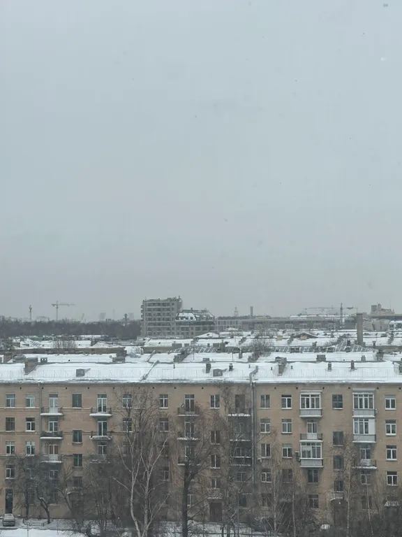 Шикарная студия
