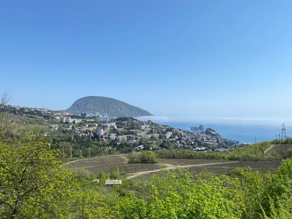 Евро-трехкомнатная в жк Ришелье Шато с бассейном