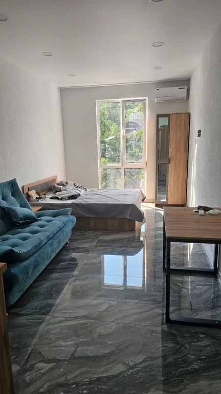 Апартаменты-студия c кухней 43