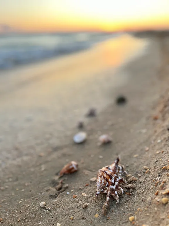 Апартаменты у моря с песчаным пляжем