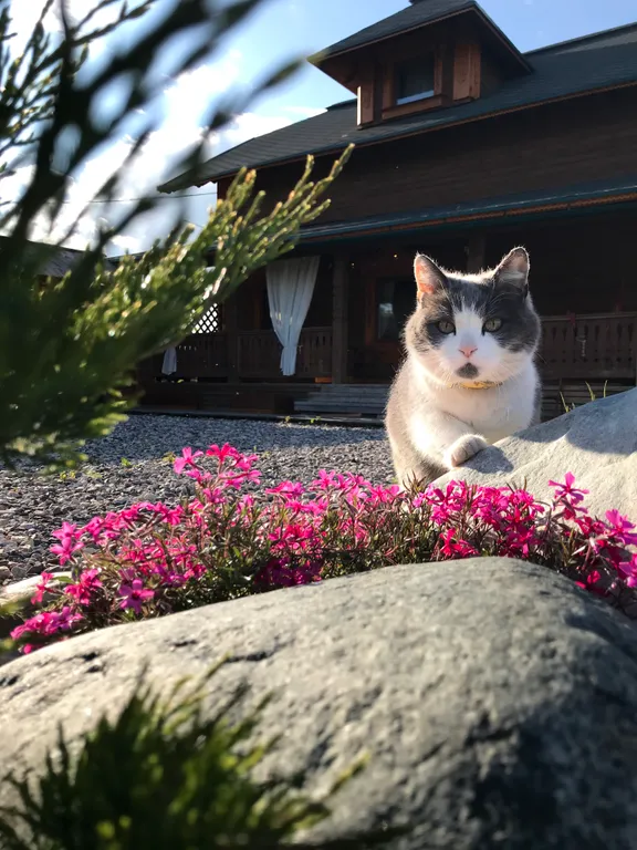 Этаж в доме с одной спальней, гостиной и верандой