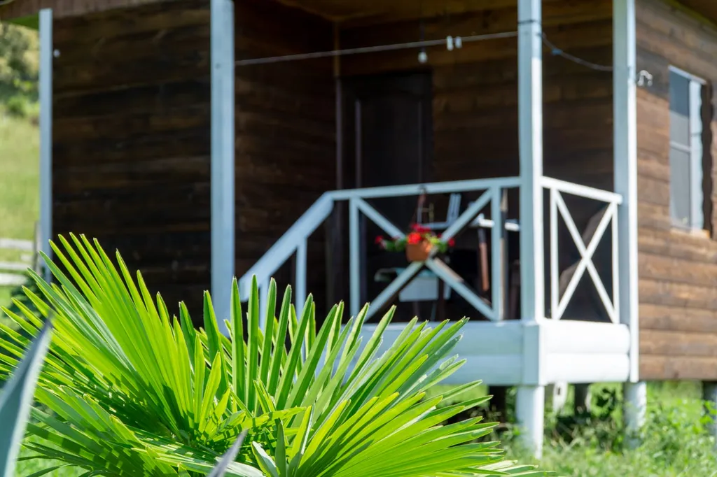 Эко домики в Раю