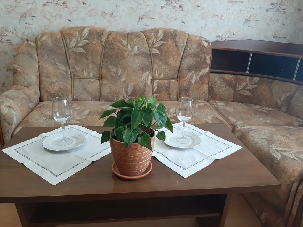 Уютная просторная квартира