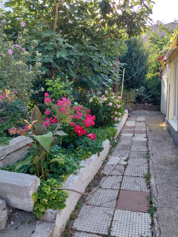 Отдельный коттедж