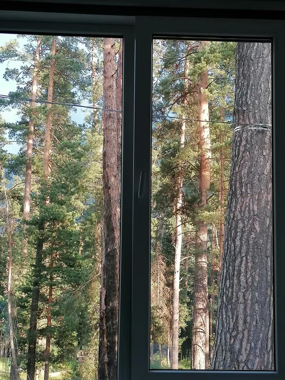 Коттедж 3-комнатный Дом — Архыз