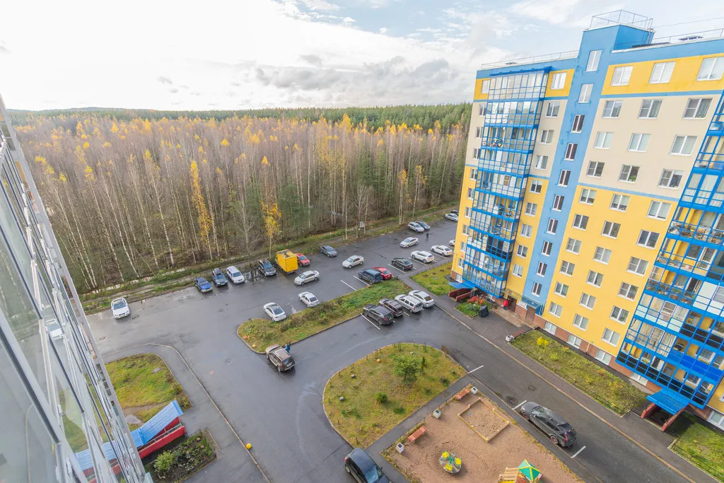 В лесной тиши