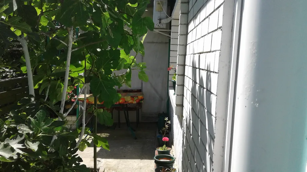 Уютная однокомнатная квартира с зеленым двором