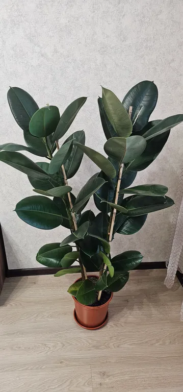 Уютная квартира на Волге