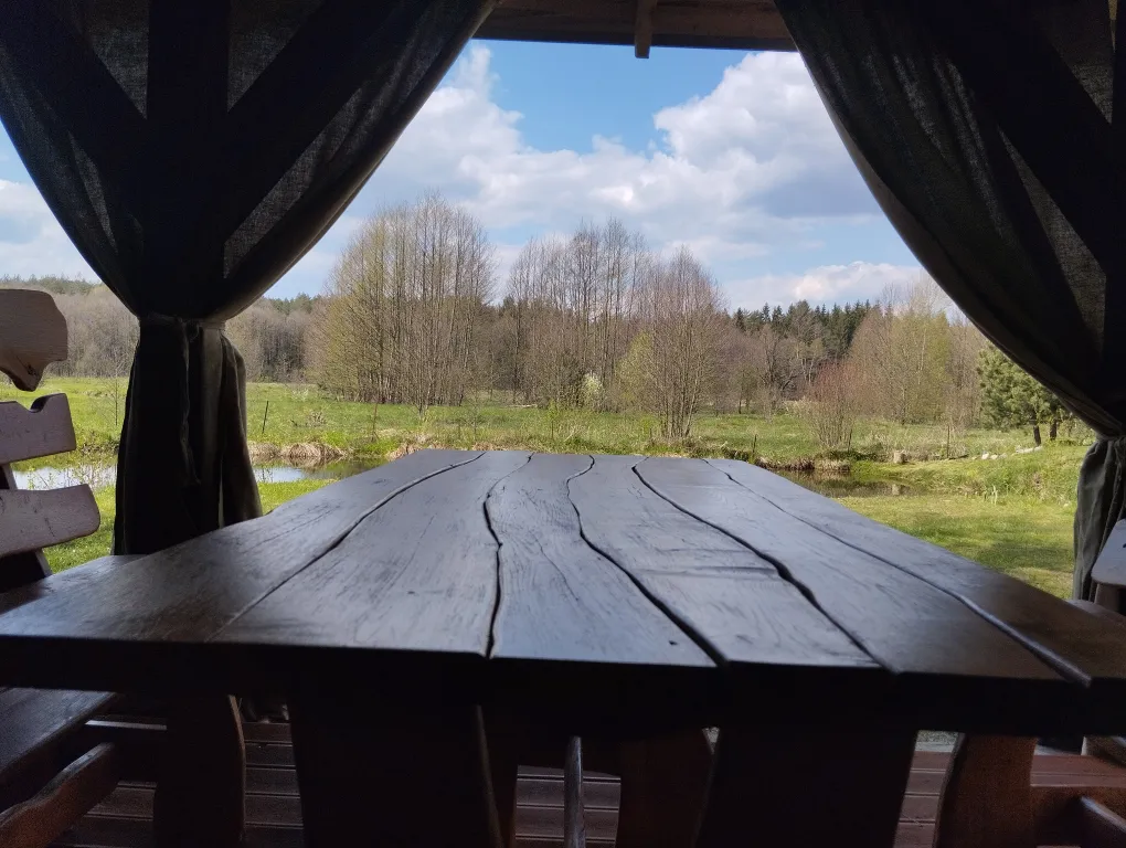 Хутор Избушка на опушке леса, возле реки